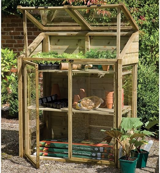 Forest Mini Greenhouse Amazon.co.uk Garden & Outdoors