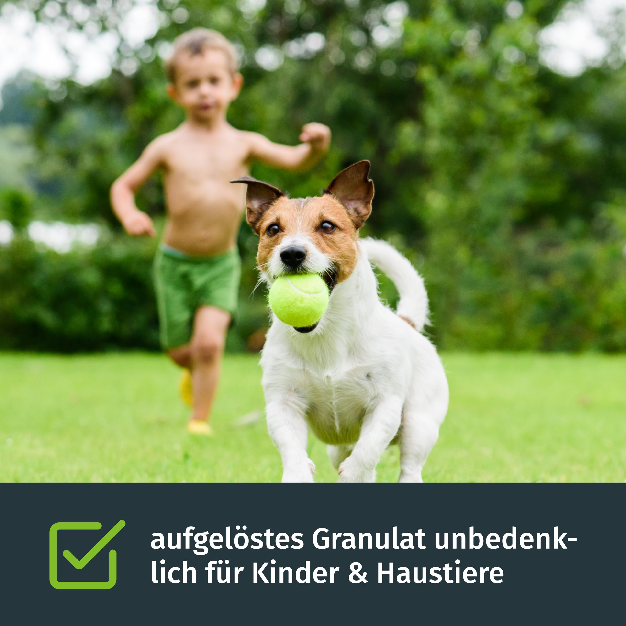 Turbogrün Rasendünger Sommer 20kg, gesunder Rasen verdrängt Moos, Ideal im Sommer, geeignet für Streuwagen, staubarmes Granulat, Rasen dünger, Rasenpflege 5