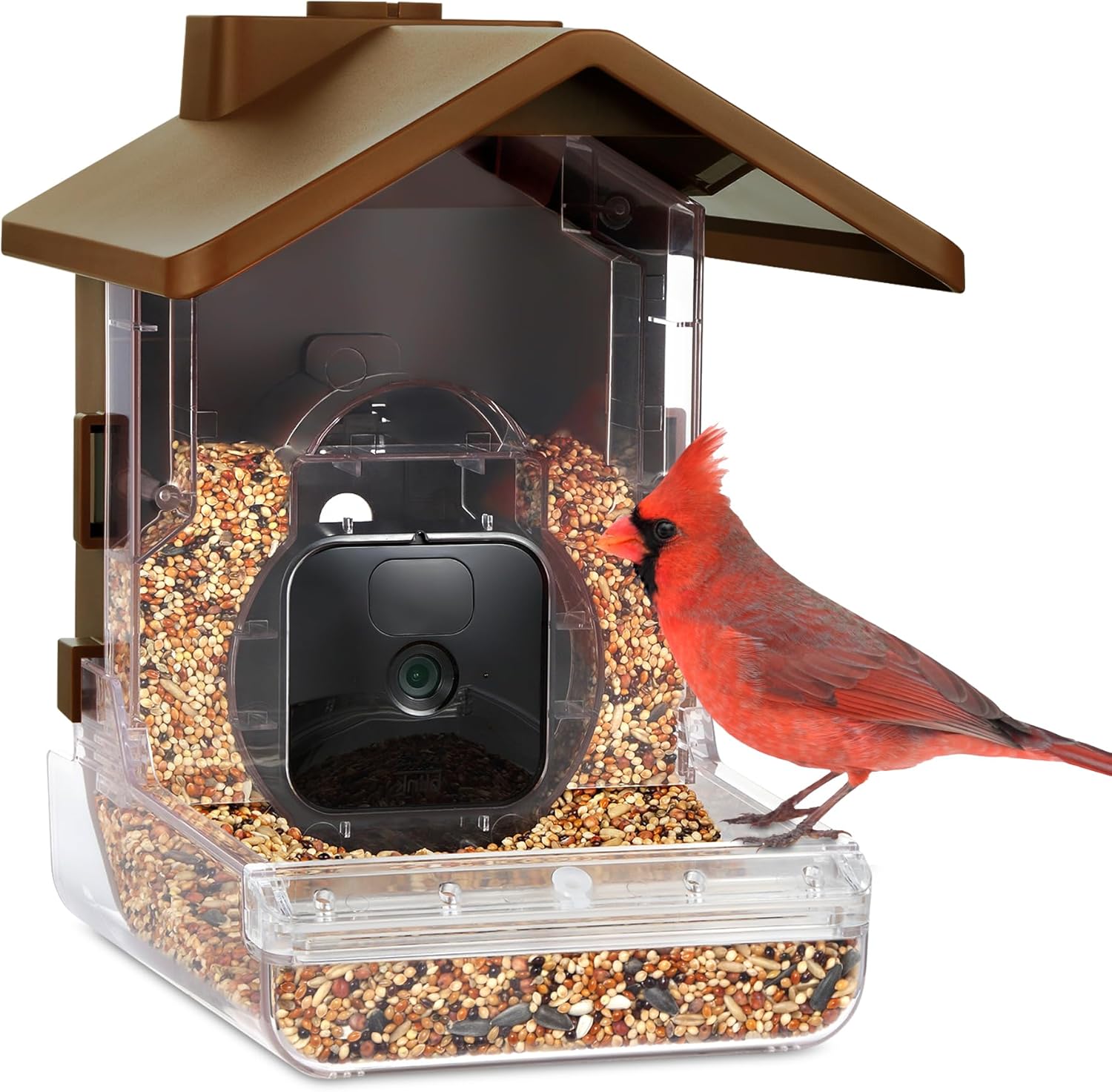 Backyard Birding & Wildlife - Wasserstein Bird Feeder Camera Case Compatible with Blink, Wyze, and Ring Cam for Bird Watching with Your Security Cam - (Camera NOT Included)