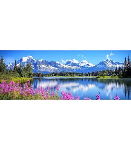 Bimkole Grand kit d'art diamant pour adultes - Paysage complet 5D - Kit de broderie diamant avec diamants - Kit de broderie au point de croix - 80 x 30 cm