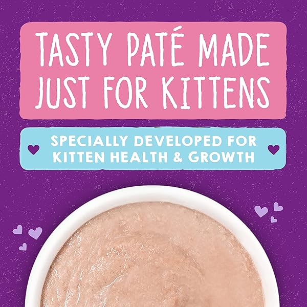 STELLA & CHEWY’S CARNIVORE CRAVINGS PURRFECT PATÉ – PREMIUM GRAIN-FREE WET KITTEN FOOD – CHICKEN & SALMON RECIPE – HIGH PROTEIN WITH BONE BROTH – PERFECT FOR PICKY KITTENS – 2.8OZ CANS (12 PACK)