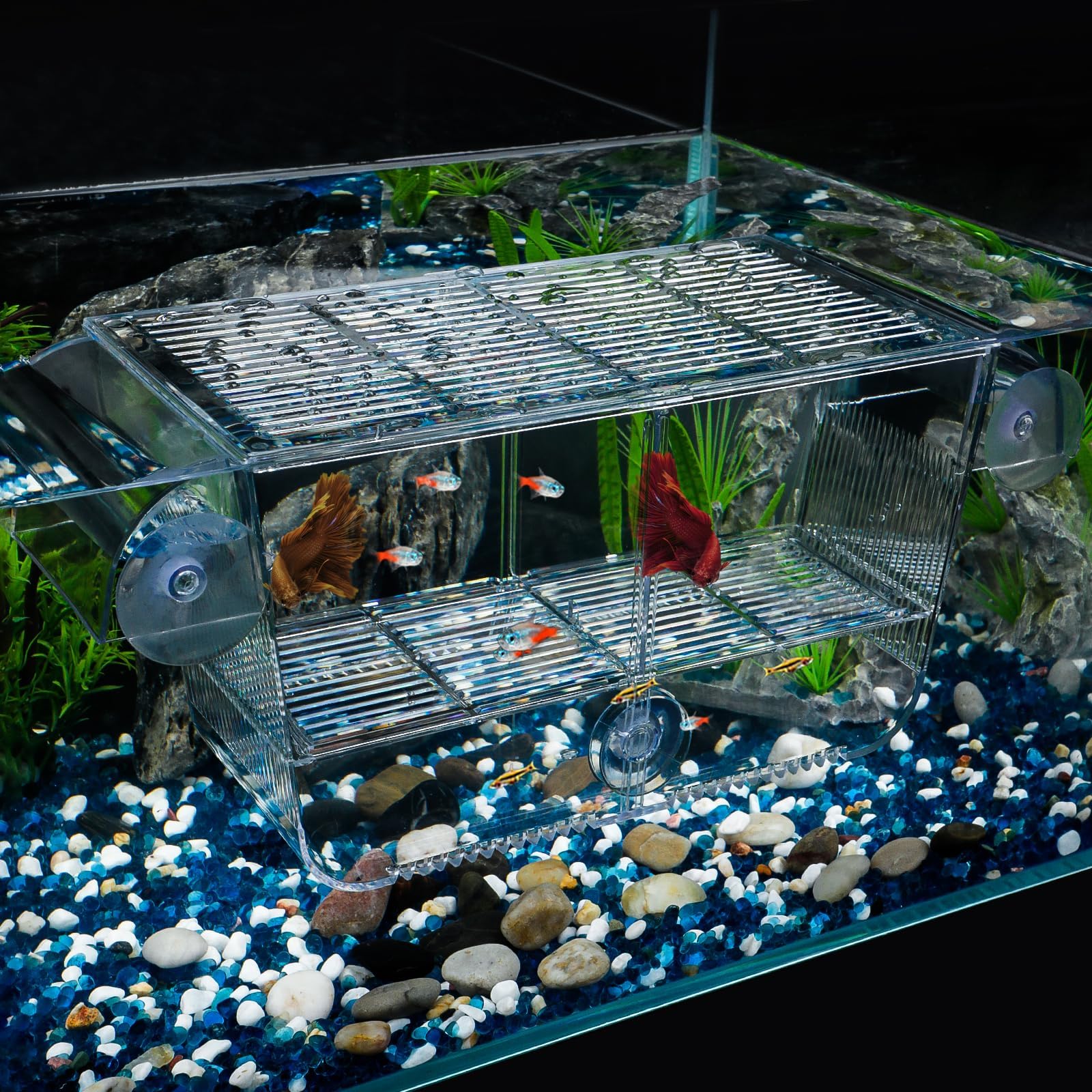 Pawfly Large Fish Breeding Box For Fish Tank Hatchery Incubator Baby Fish Tank with 6 Suction Cups Acrylic Hatching Box for Baby Fish Shrimp Betta Small Acclimation Isolation Box