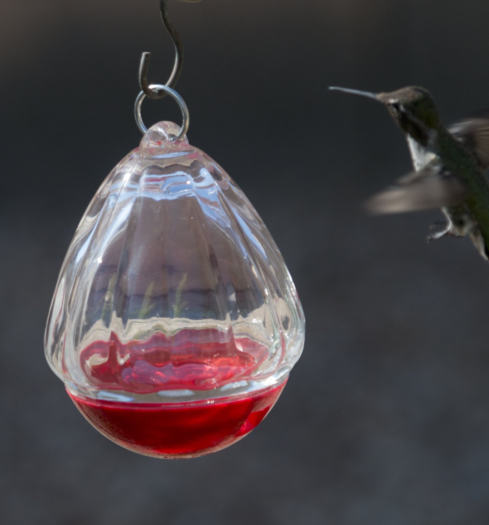 Best Bee Proof Hummingbird Feeder Ever Made From Beautiful Red