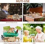 toymany 8pcs Safari Animals Playset Lion Tiger Cheetah Leopard Cubs view 8