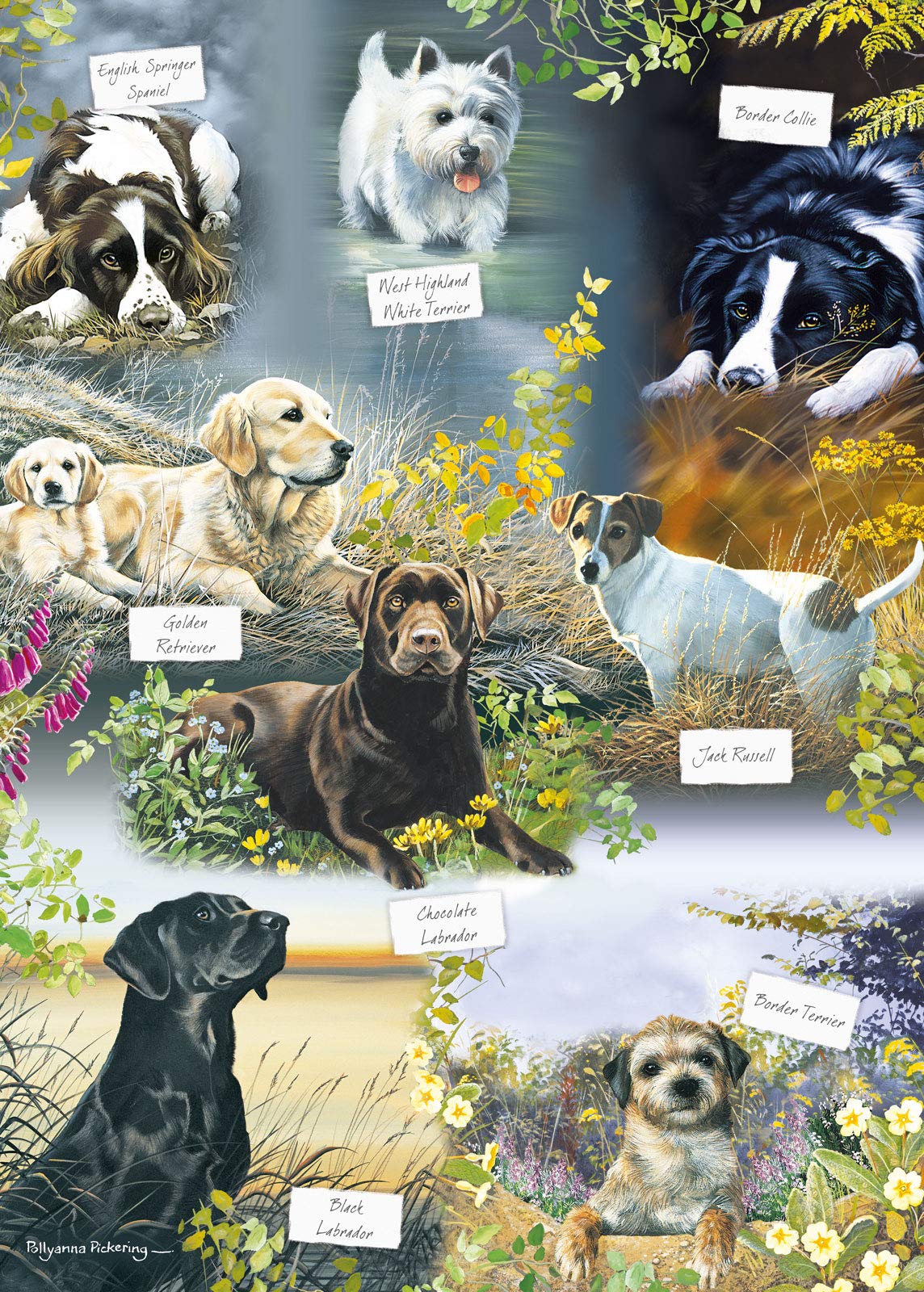 JIGSAW 1000 PIECE RECTANGULAR MANS BEST