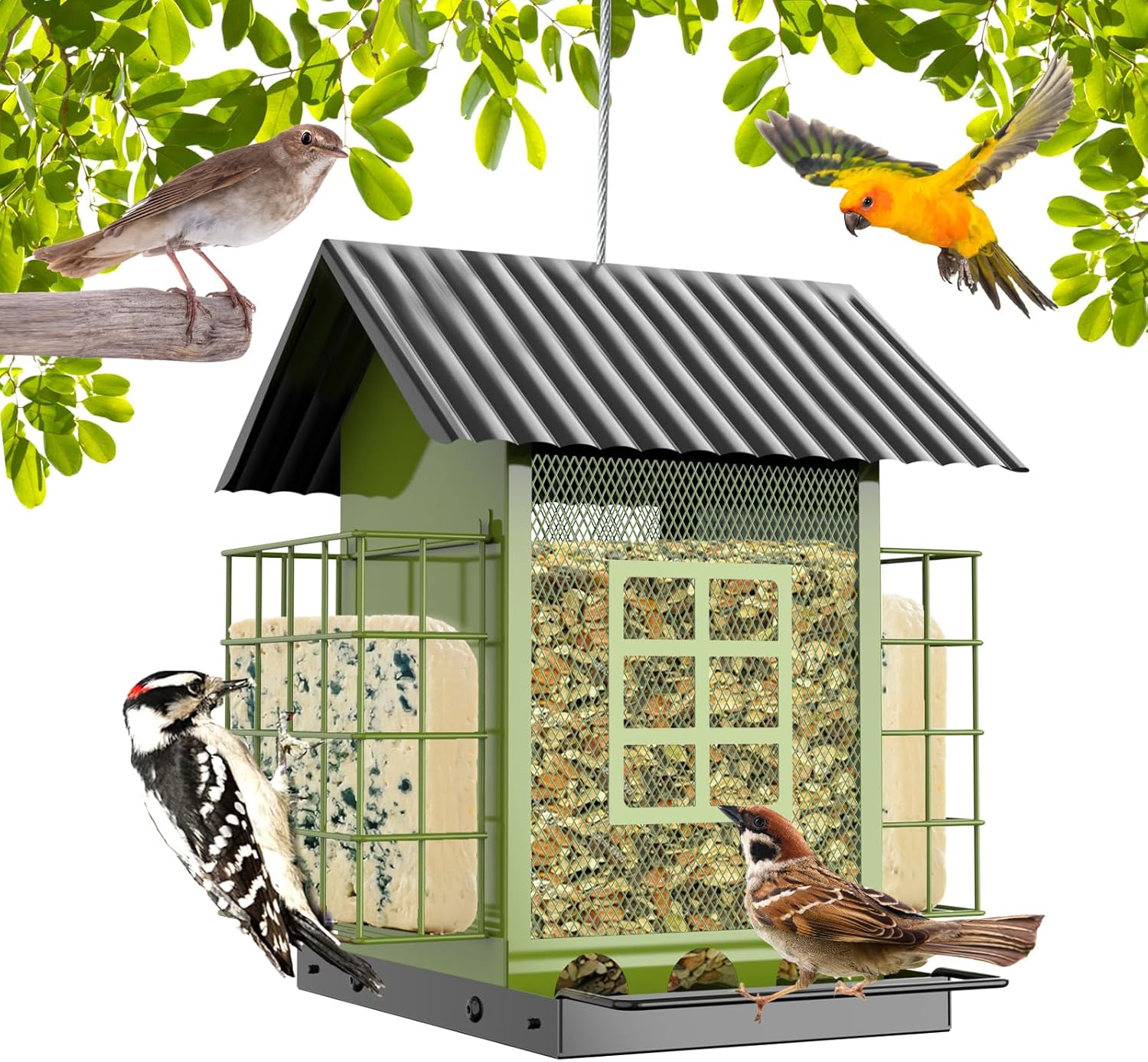 Backyard Birding & Wildlife - Bird Feeders for Outdoors Hanging, Metal Bird Feeder with Double Suet Cage Cake,6LBs Large Seed Capacity, Birdfeeders Durable & Weatherproof,Easy to Clean & Refill, Great for Attracting Wild Birds
