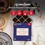 Aromafume Nag Champa Incense Bricks & Tree of Life Burner Set view 8
