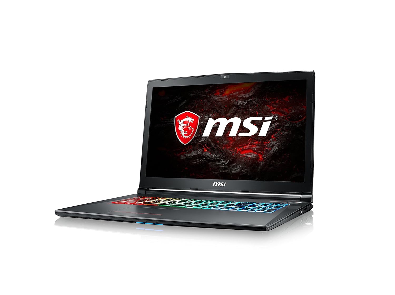 MSI GF72 8RD-081XES - Ordenador portátil de 17.3