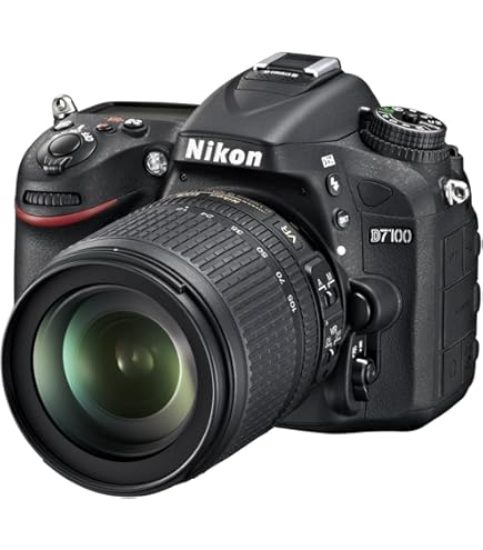 Amazon.com : Nikon D610 24.3 MP CMOS FX-Format Digital SLR