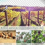LATERN Heavy Duty Bird Netting 2.1m x 15.3m with 20 Ties Plastic Mesh view 7