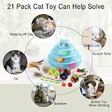 Suhaco 21 Pack Cat Toys Indoor Interactive Kitten Track Ball Toy Set Blue view 5