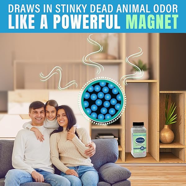 SMELLEZE NATURAL DEAD ANIMAL ODOR REMOVAL 2 LBS GRANULES: ELIMINATE DEAD RAT, MICE, SQUIRREL, CHIPMUNK, RACCOON & BAT SMELL. SAFE FOR INDOOR & OUTDOOR USE