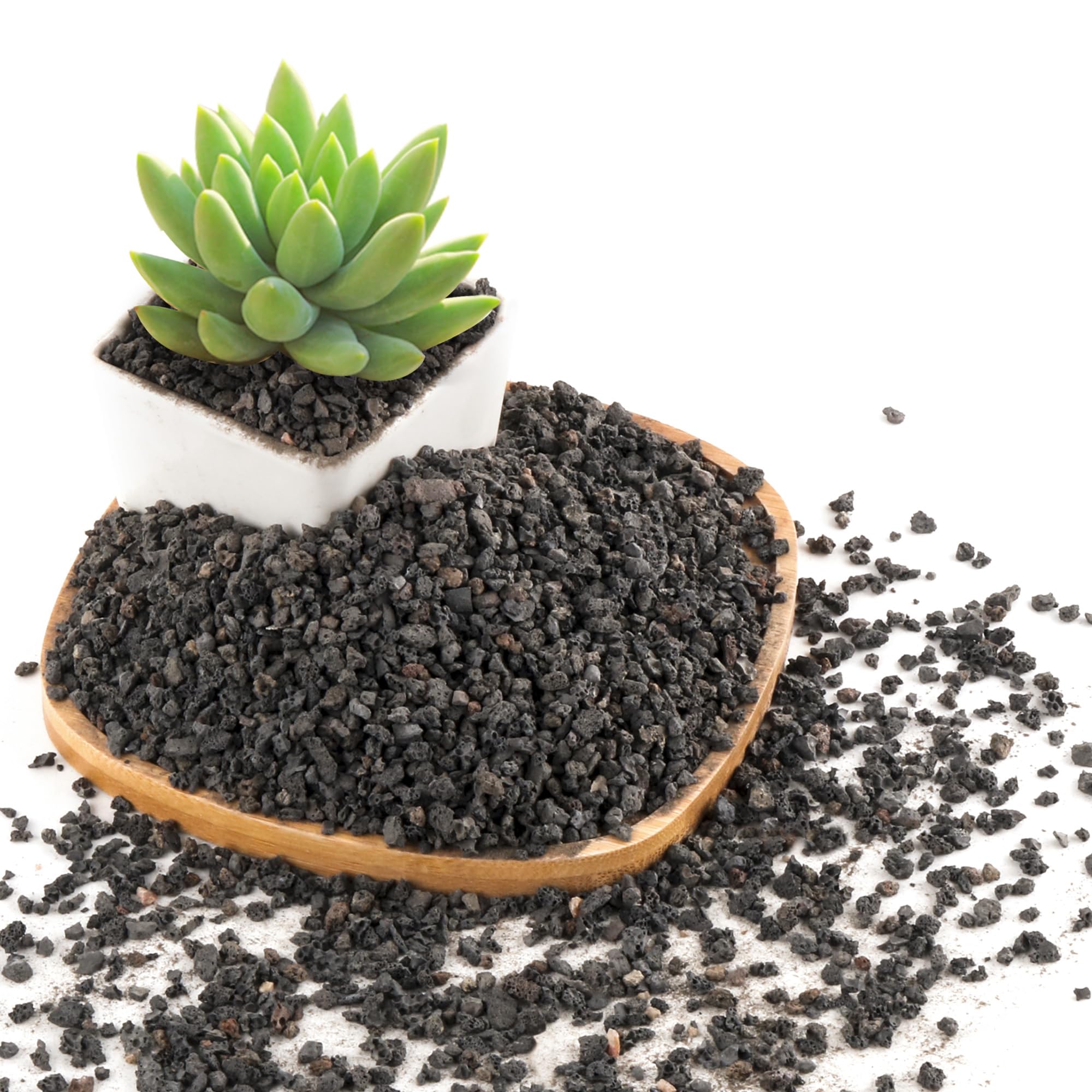 Photo 1 of 2.4LB Black Lava Rocks for Plants, Volcanic Rock Horticultural Lava Rock Soil for Landscaping Plants Drainage, Small Lava Rock Gravel for Succulents, Bonsai, Vase Fillers, Top Dressing