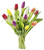 Assorted Bouquet of 10 Tulips Without Vase - Fall