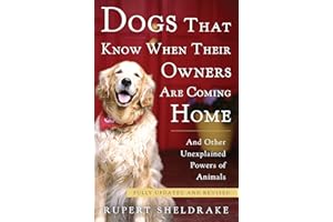 Dogs That Know When Their Owners Are Coming Home