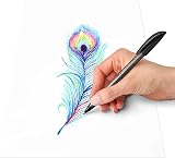 Staedtler 4320 M-9 Rainbow Stick Ballpoint Pen Black Ink Box of 10 view 3