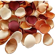 Amazon.com: Lookein 300pcs Terracotta Rose Petals Satin Flower ...