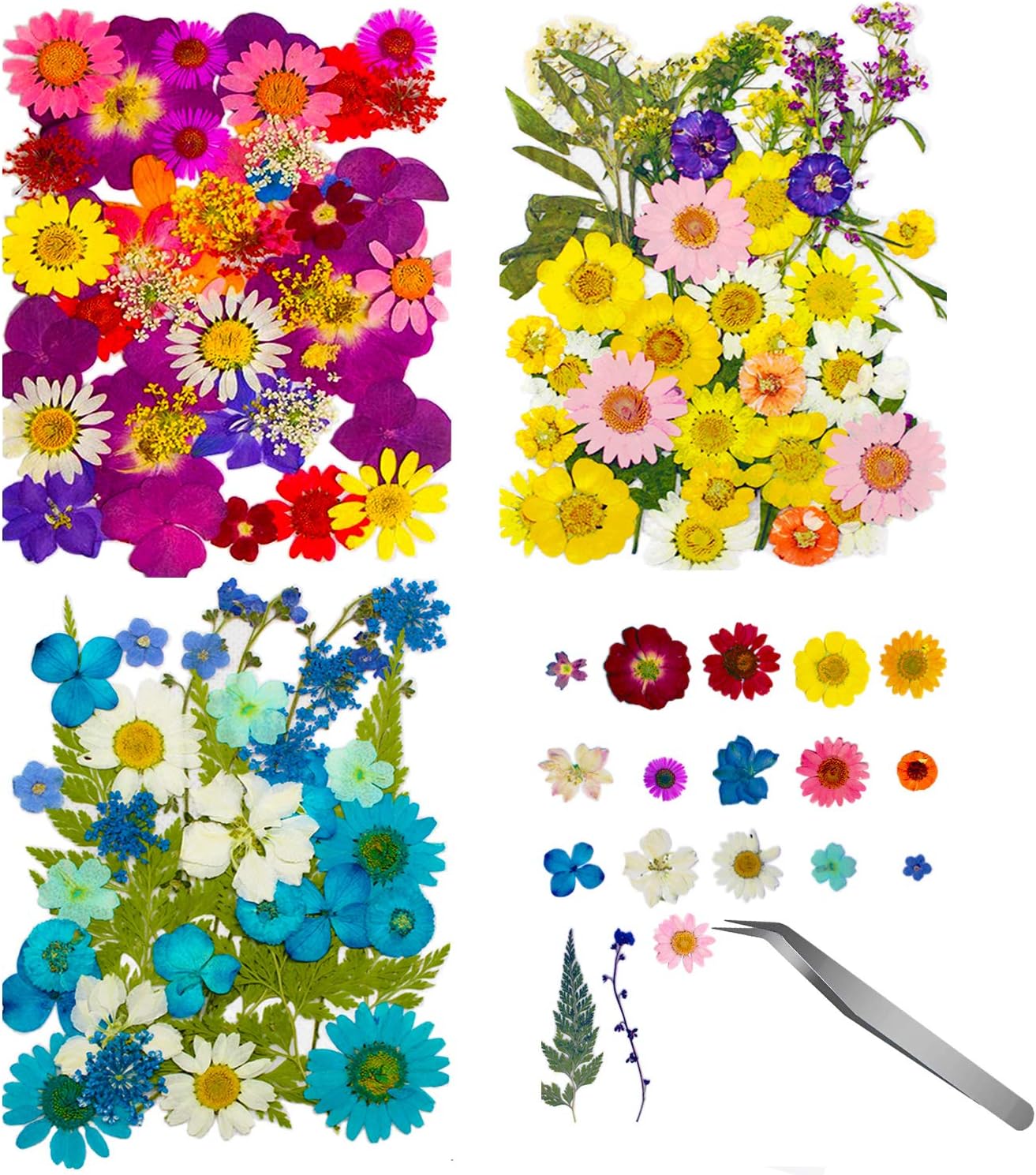 Amazon Com 120 Pcs Dried Flowers For Resin With Tweezers Multiple Colorful Real Pressed Dry Flower Leaves Mixed For Diy Crafts Nail Art Candle Soap Making Phone Case Jewelry Pendant Floral Decors