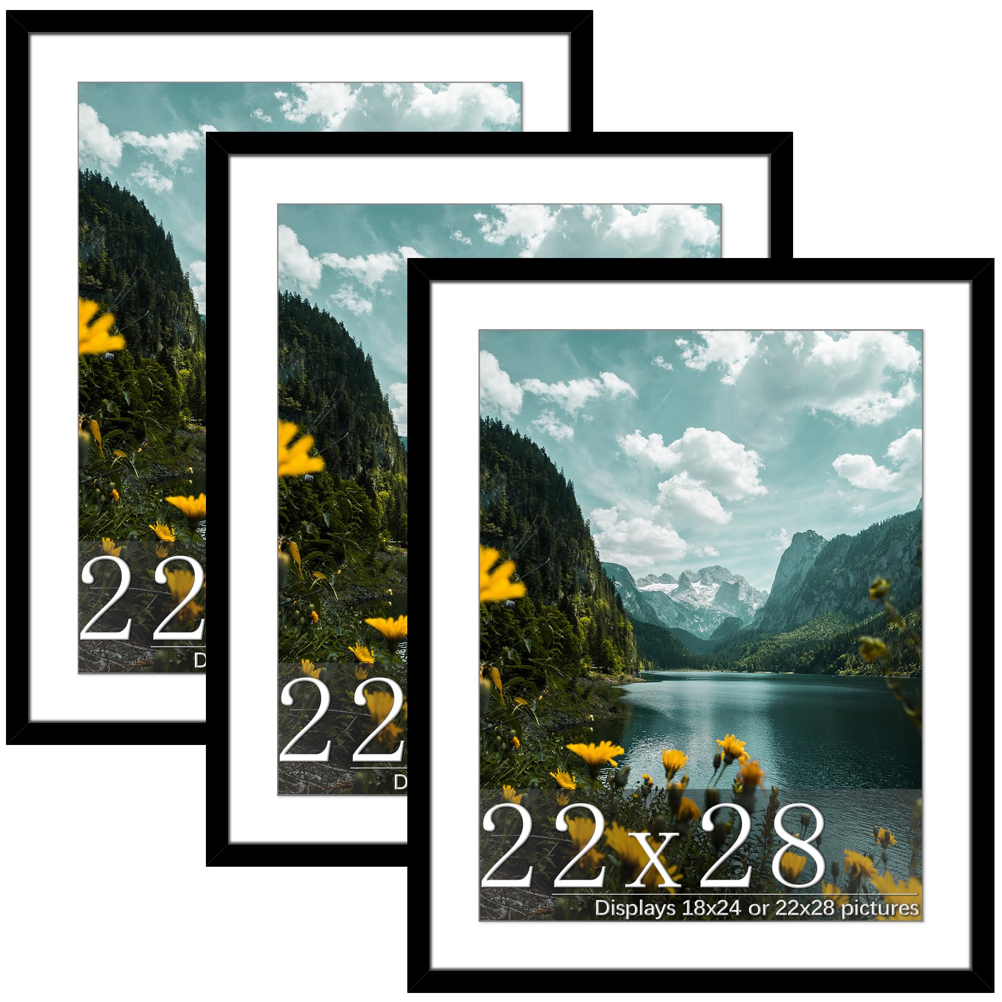 Photo 1 of Picrit 22x28 Frame 3 Pack, Black Poster Frame, Display Poster 18 x 24 with Mat or 22 x 28 without Mat for Horizontal or Vertical Wall Mounting