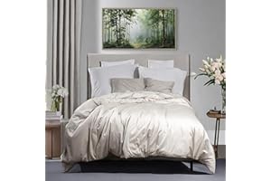 DESERT BREEZE DISTRIBUTING Viscose from Bamboo & Cotton Duvet Cover – Soft & Breathable – Queen Size – Invisible Button Closure – Oeko-Tex Certified