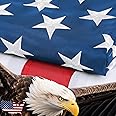 2x3 Ft American Flag,American Flags For Outside,Embroidered Stars Best,Long Lasting All Weather Brass Grommets