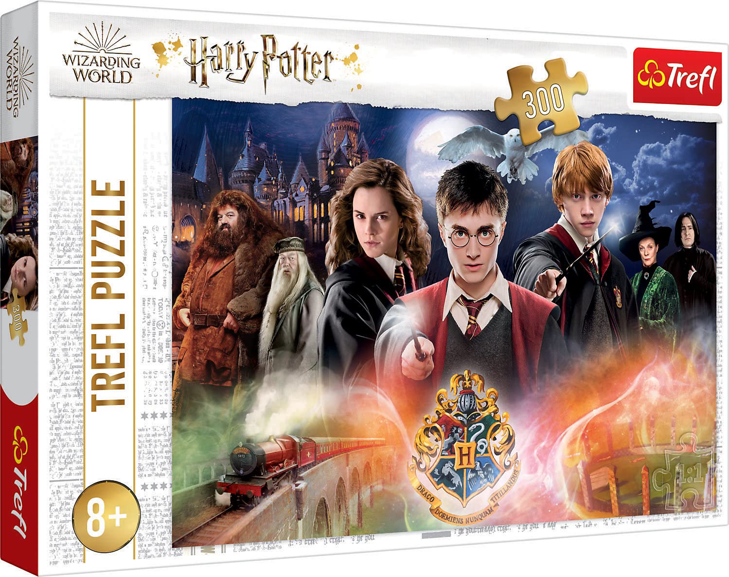 Harry Potter 300 Piece Jigsaw Puzzle for Kids & Adults – 60 x 40 cm Hogwarts Scene by Trefl – Wizarding World Puzzle Toy, Paperboard, Educational Gift for Ages 8+