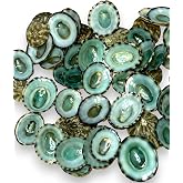 Sea Shells for Crafting, 40pcs of Small Seashells for Crafts and Decorating | 0.5" - 1" inch real green limpet shells for DIY crafts, jewelry making, decoration, centerpieces, vase filler and more