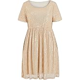 Wenrine Women's Sequin Plus Size Mini Dress Short Sleeve Scoop Neck Pleated A Line Cocktail Party Dresses