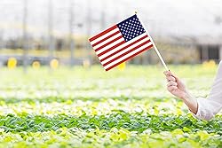 50 Pack USA America Flags on Stick Flags,Small Mini