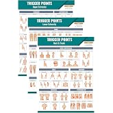 Myofascial Trigger Point &amp; Pressure Point Posters | 18x24 | Medical Office Wall Poster for Massage Therapists, Physical Therapists, Chiropractors, Physicians, Athletic Trainers