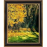 Space Art Deco,16x20 Picture Frame for 16 x 20 Poster/Photo/Print, Shatter-Resistant Real Glass Wall Display (Black and Ornate Gold Design, 1-Pack)
