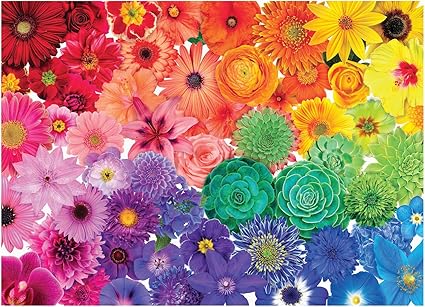 Amazon.com: Jigsaw Puzzle 1000 Pieces 