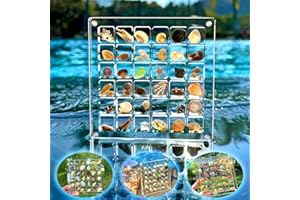 EXQUISITE PHOTO FRAME Acrylic Magnetic Seashell Display Box, Seashell Display Box Seashell Storage Box Display Case Decorative Seashell Starfish Trinket, Small Craft Organizers Container for Bead, Nail, Jewelry (36 Grids)