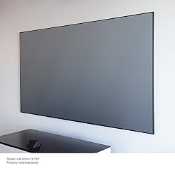 Epson SilverFlex Ultra 120-Inch Ambient Light