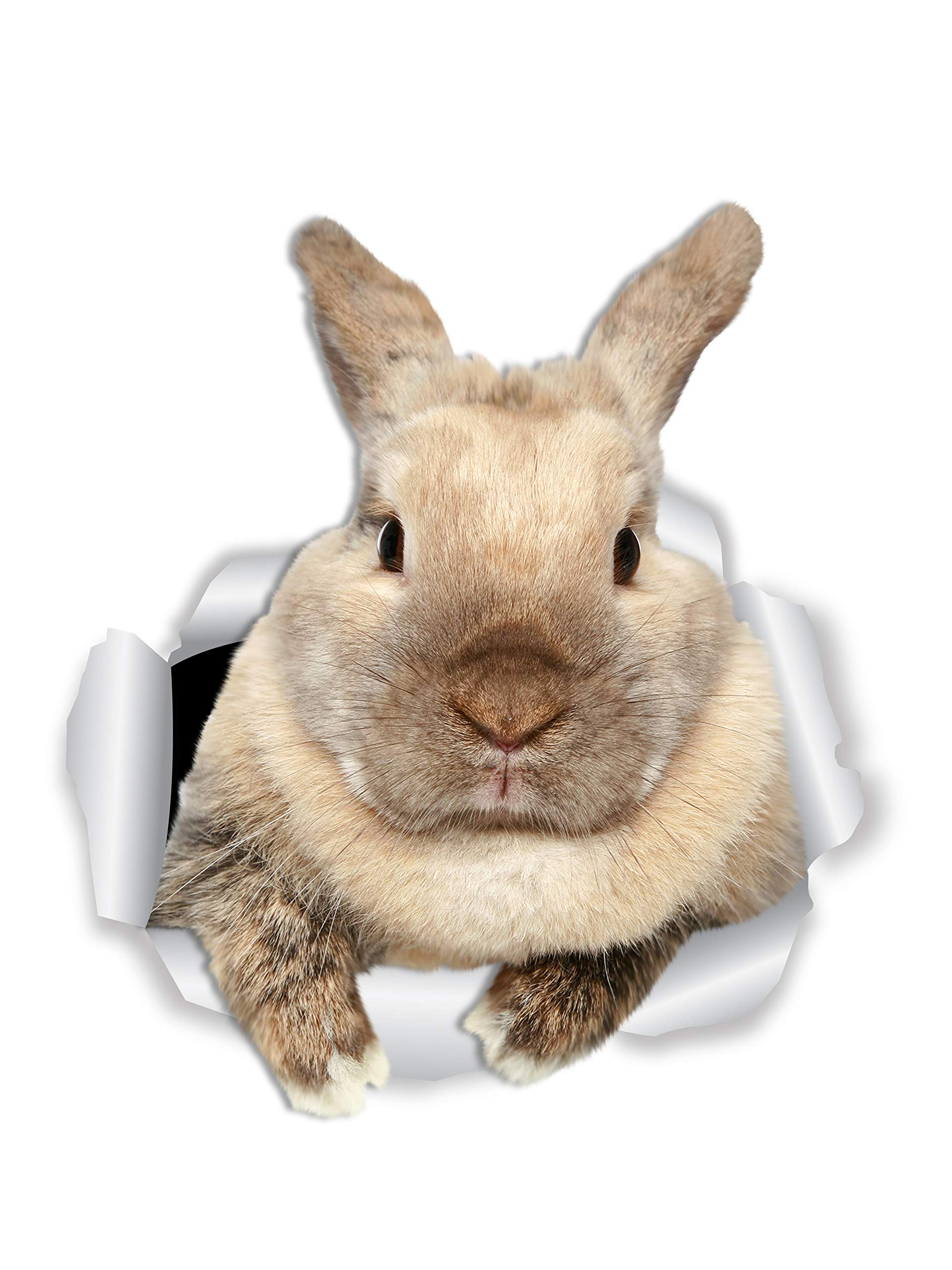Winston & Bear Rascally Rabbit Wall Decals - 2 Pack - Bunny Toilet Sticker - 3D Cat Car Window and Bumper Sticker - Retail Packaged Bunny Rabbit Gifts