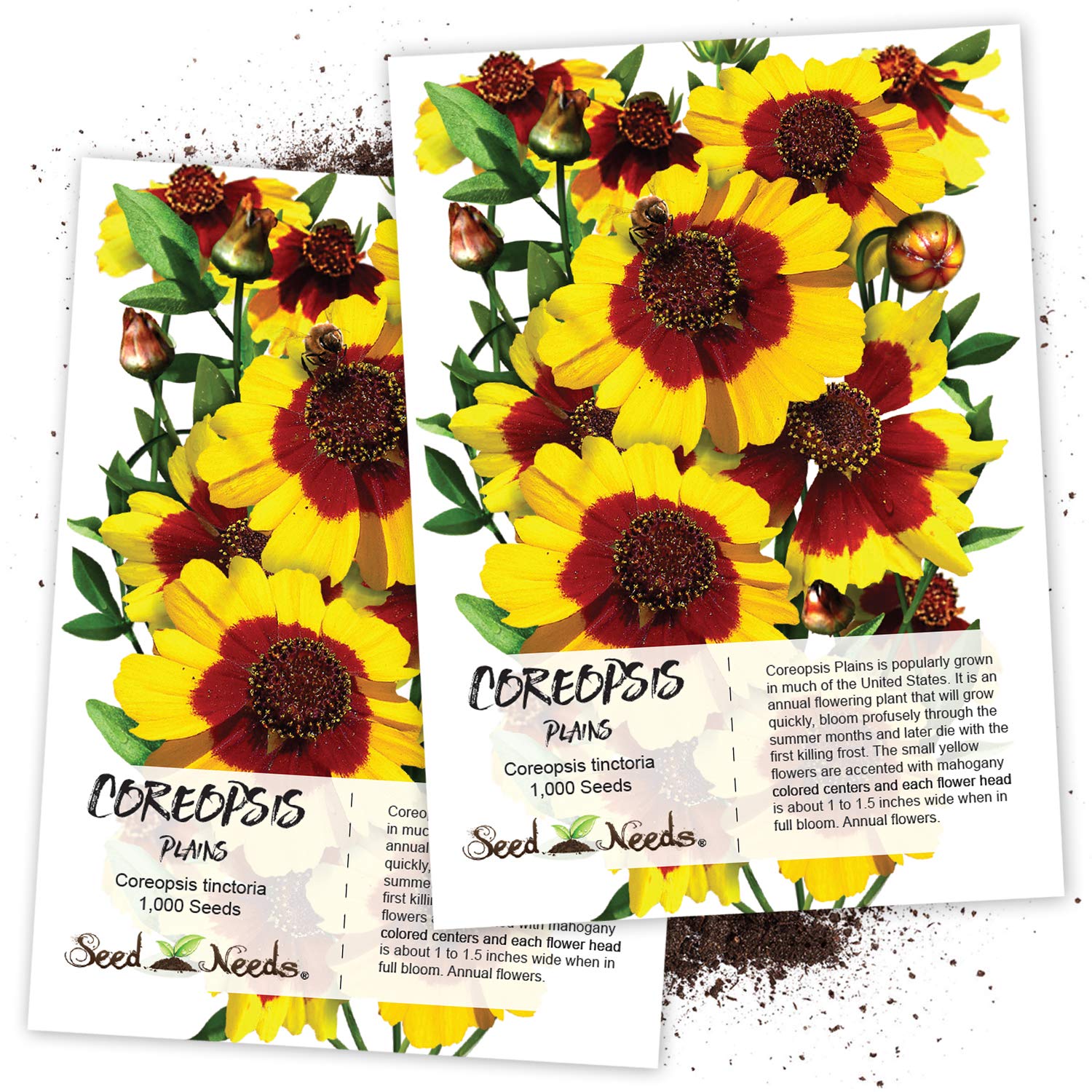Seed Needs Coreopsis Plains Coreopsis Tinctoria Twin Pack Of 1 000 Seeds Each Buy Online In Andorra At Andorra Desertcart Com Productid 32279087