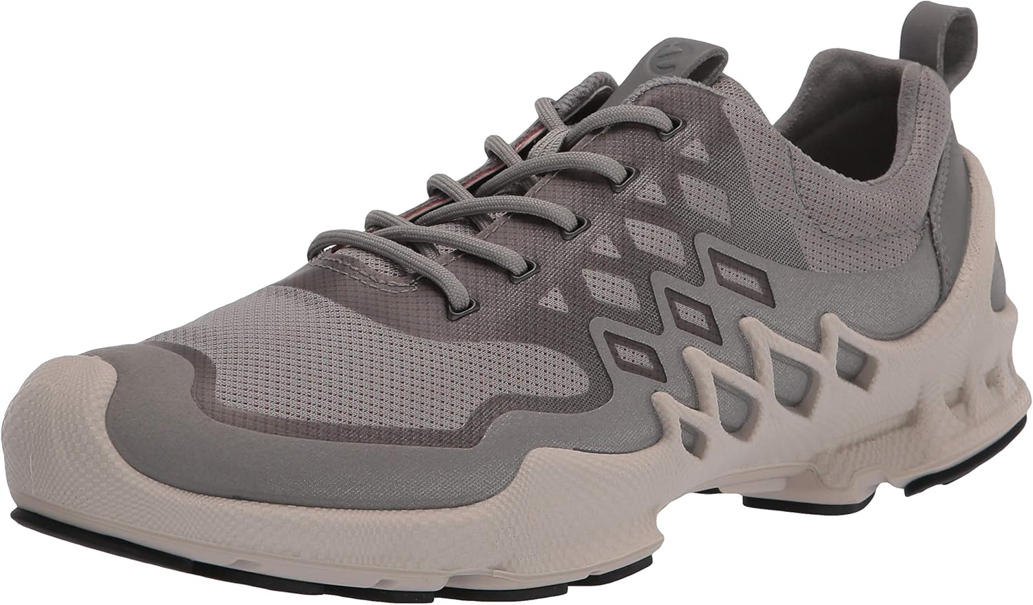 ecco training shoes