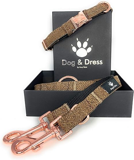 Dog & Dress by Nacy Kena Collar Perro, Ajustable, Correa 2m 3xAnillos, Oro Rosa, Mosquetón, Perros Pequeños Medianos, Grandes, Tweed Nylon, Regalo ...