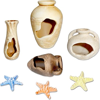Amazon Com Exoticzoo Ceramic Aquarium Decoration Kit 7pcs Fish