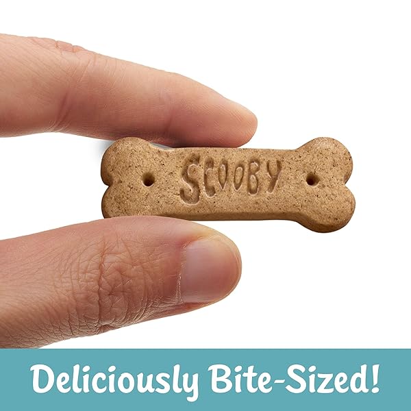 KELLOGG’S SCOOBY-DOO! BAKED GRAHAM CRACKER SNACKS, LUNCH SNACKS, SNACK CRACKERS, CINNAMON (40 POUCHES)