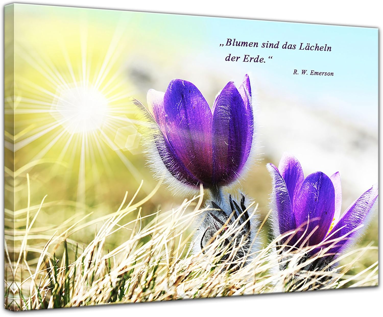 Download Blumen laecheln zitate For Free Blumen Laecheln Zitate