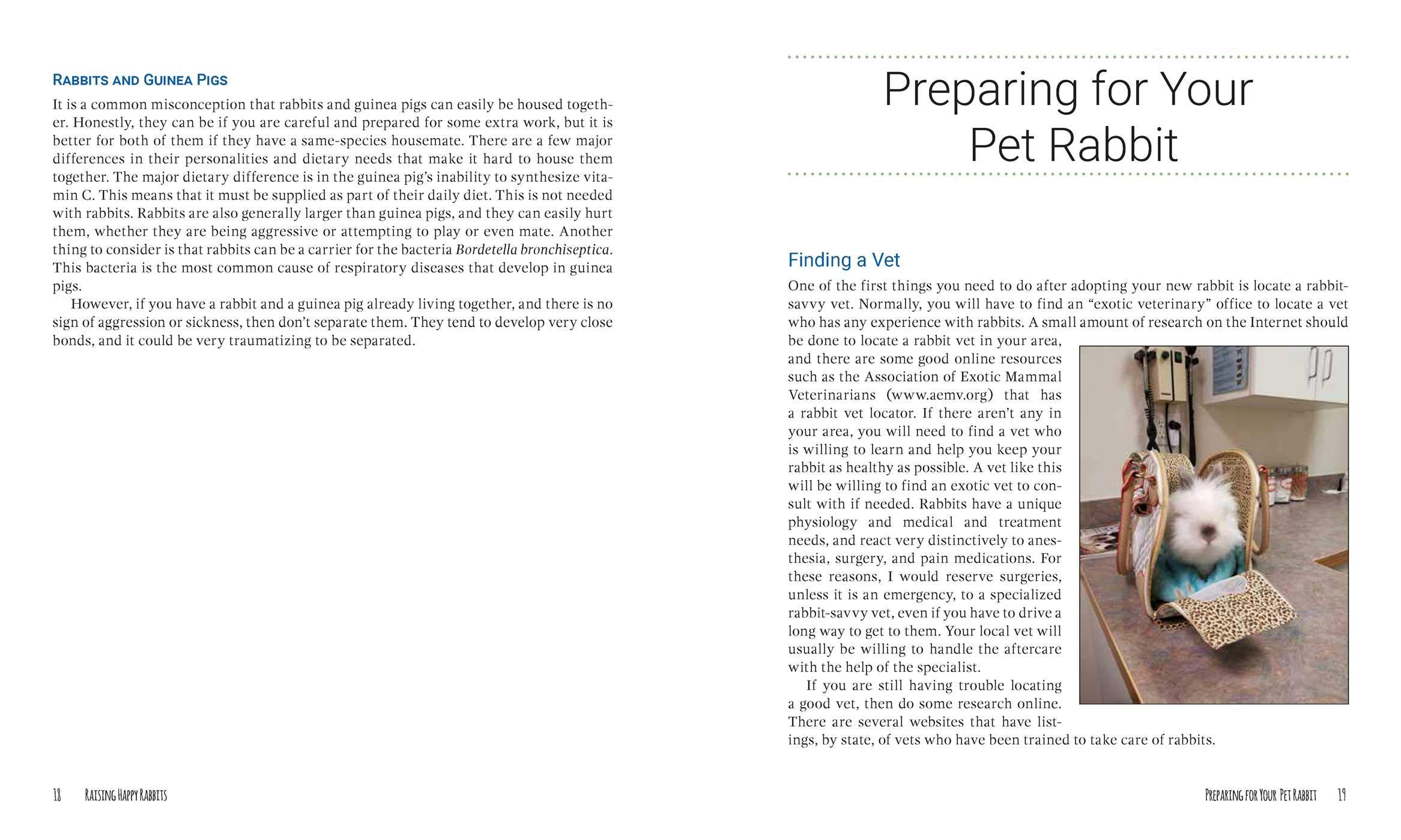 Raising Happy Rabbits: Housing, Feeding, and Care Instructions for Your Rabbit's First Year