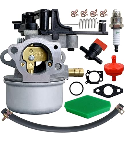 Amazon.com: Carburetor for Briggs and Stratton 216693 Engine