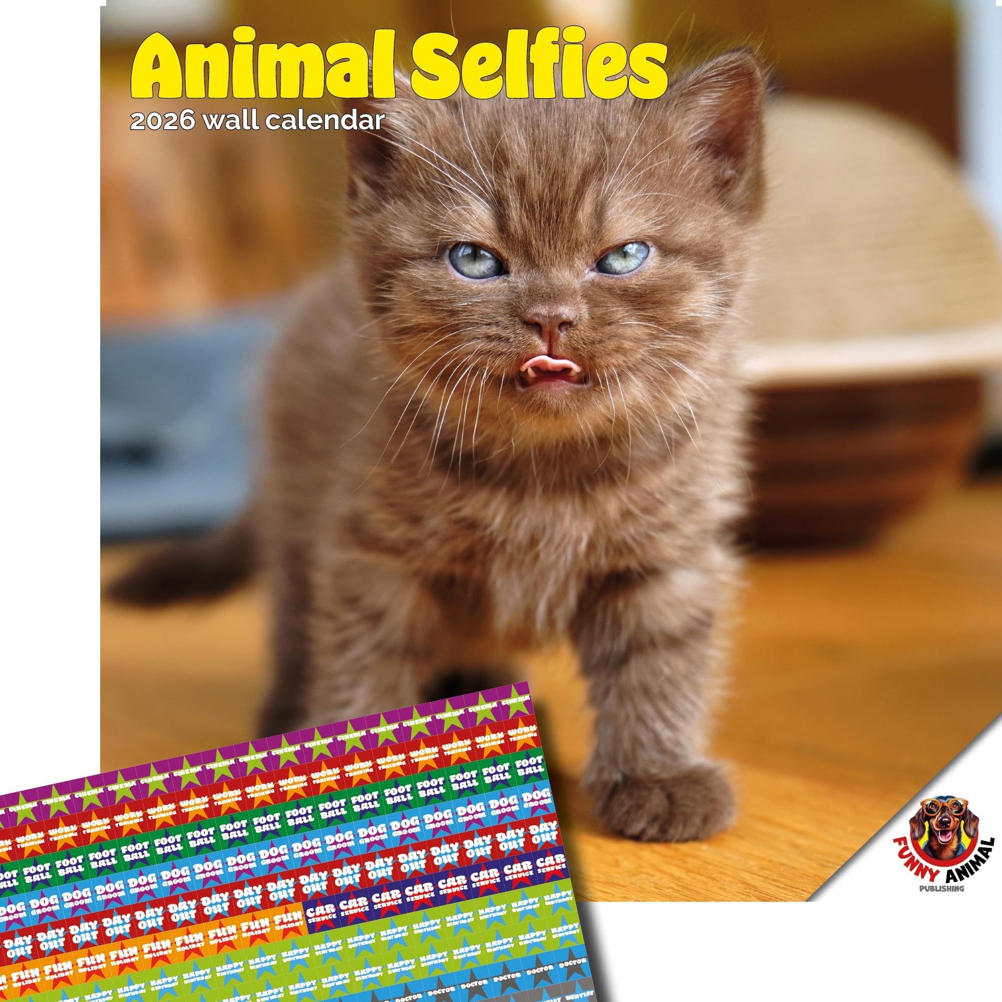 Dayplanner Publishing Animal Selfies Calendar 2026, Large Square Wall Calendar With Organisational Stickers, 16 Month, Gift Animal Calendar
