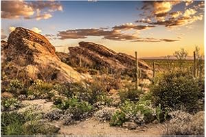 OHIOCATII Desert Mountain Reptile Tank Background Sunset Rock Mountain Gobi Aquarium Background Blue Sky Gobi Barren Thorns Mountain Reptile Enclosure Backgrounds Cactus Mountain Fish Tank Backgrounds 24x12in