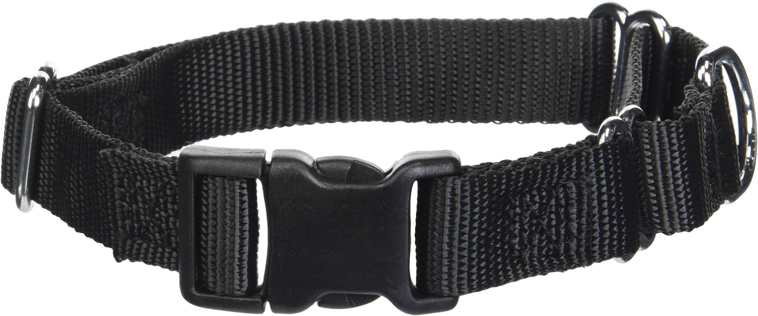 GoGo Pet Products GoGo 3/4-Inch Martingale Dog Collar, Medium, Black