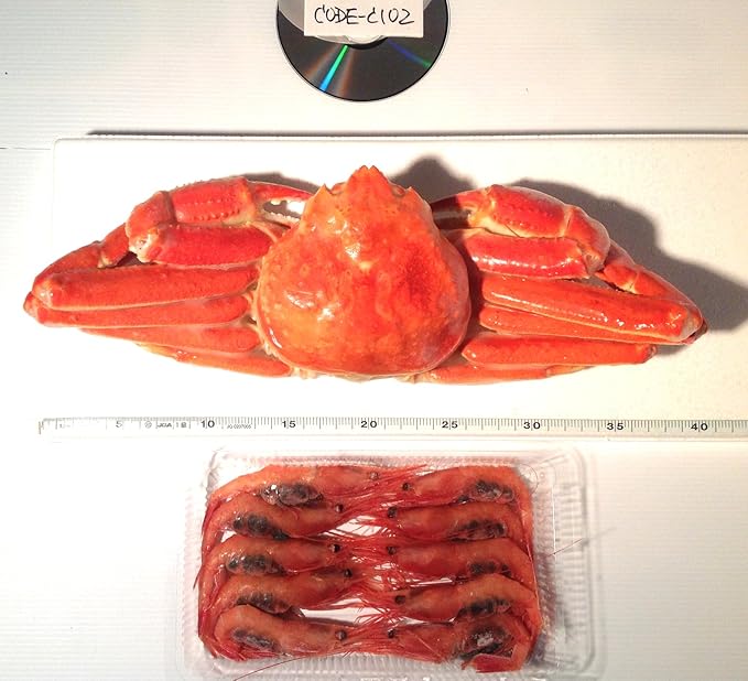 Amazon 歳末特別企画ジャンボ特大ずわい蟹 甘えびセット カナダ産超低温瞬間冷凍姿ボイル本ずわい蟹 現品重量約990g 特選福井県越前産お刺身用特大冷凍甘えび 250g オーダー番号 Codec102 ズワイガニ ずわいがに お歳暮カニ カナダ産