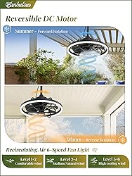 Fanbulous Outdoor Ceiling Fans with Light for