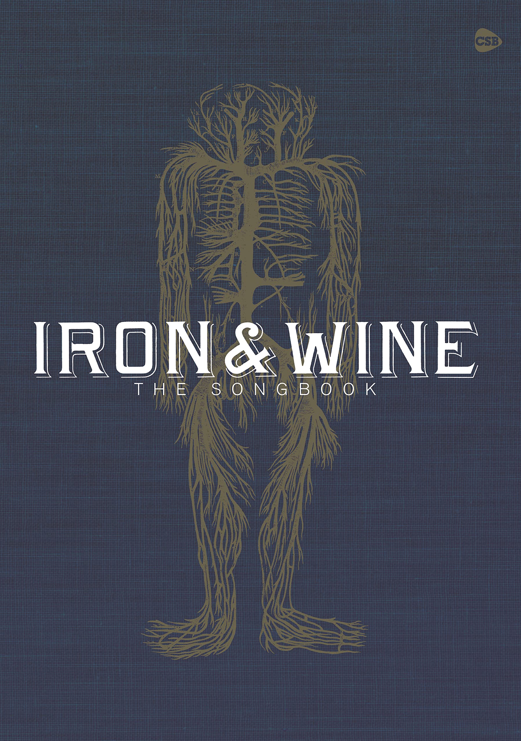 Iron & Wine: The Songbook (Lyrics & Chords) (Guitar Basics)