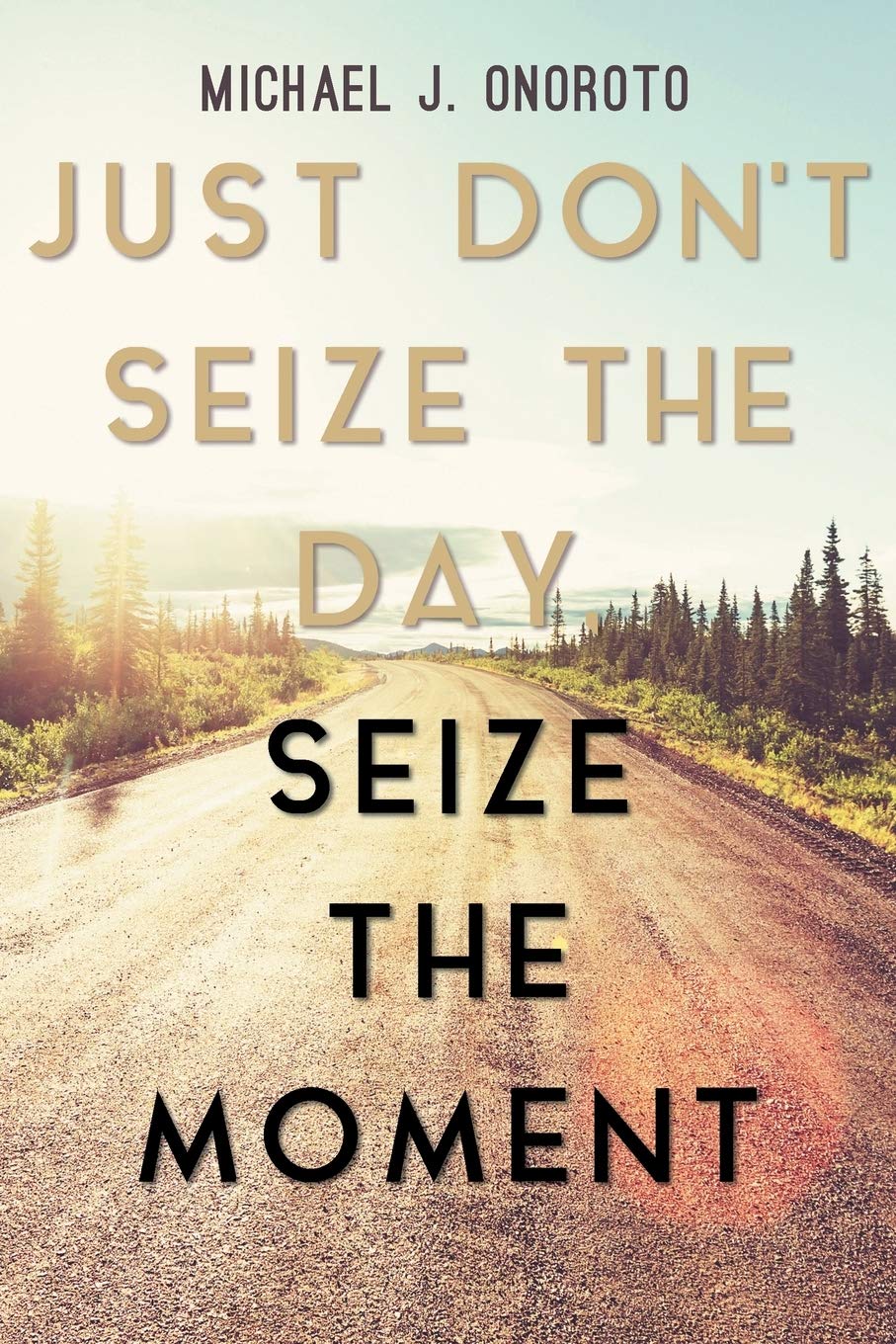 Just Don T Seize The Day Seize The Moment Onoroto Michael J 9781633383265 Amazon Com Books